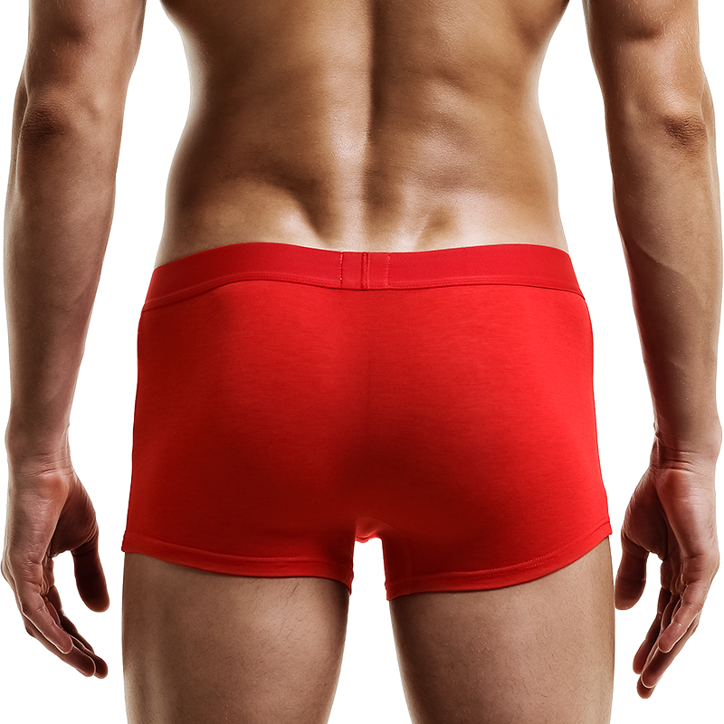 Men's Underwear, Men's Boxer B - Boxer Shorts Modal ulasan dan harga